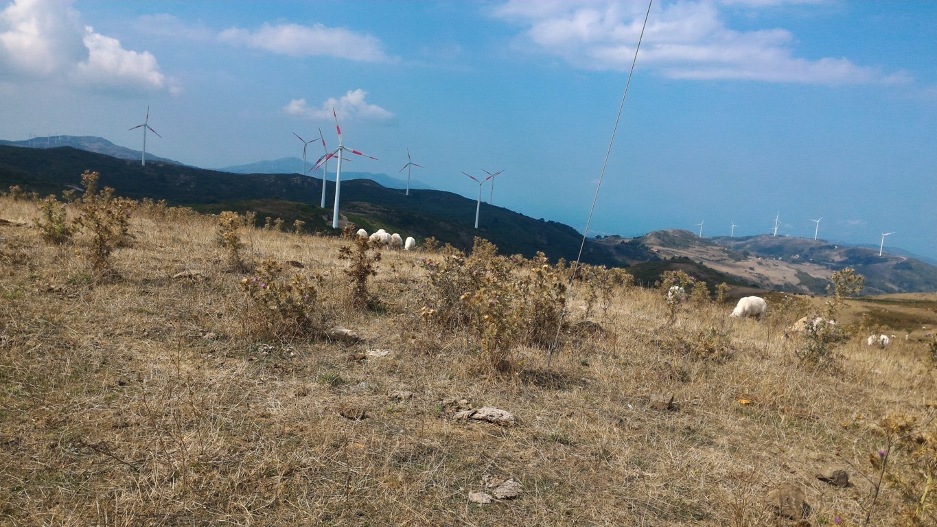 P_20160828_152915 .jpg